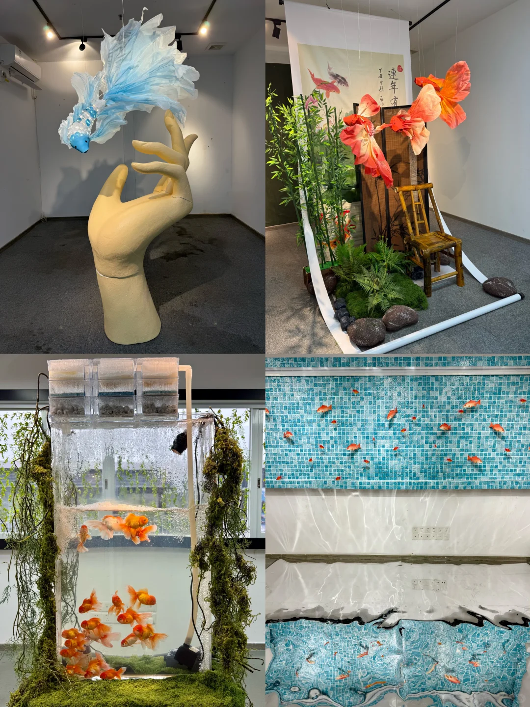 广州新展 | 去鱼里的世界???好梦幻！！！！！