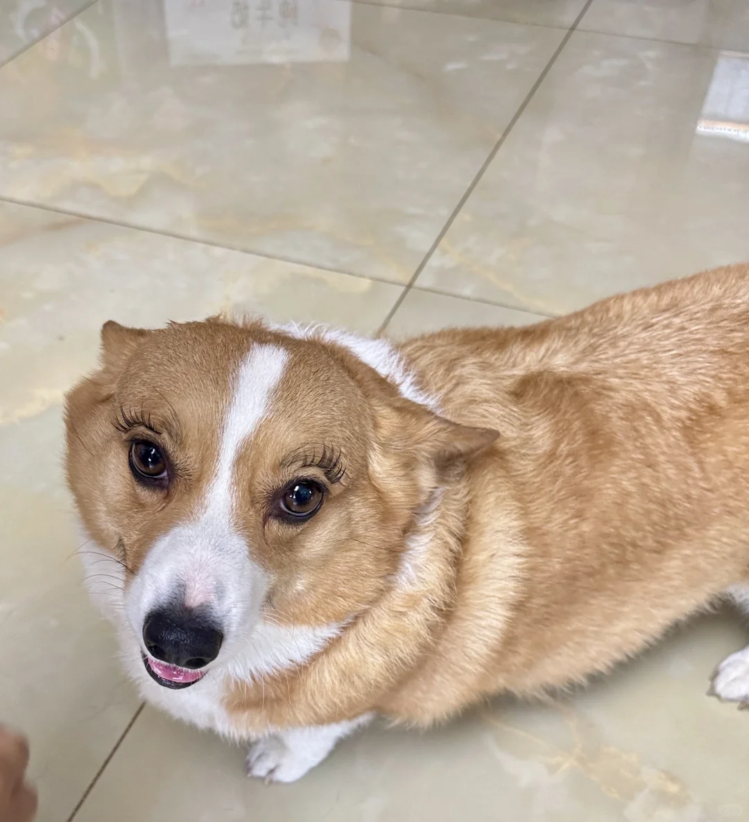 她是个睫毛精
