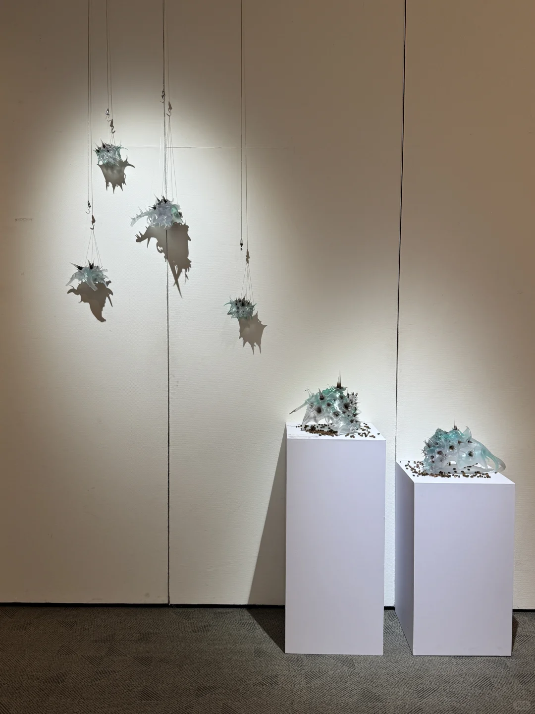 北京新展|新生·力