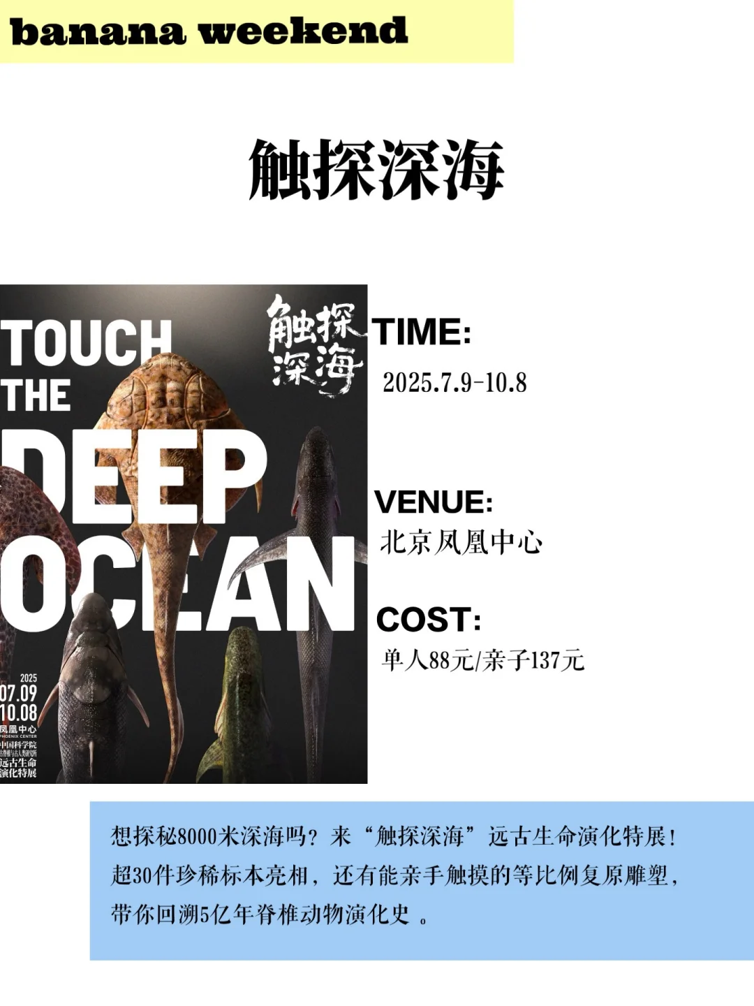 北京八月展览合集|值得打卡的展览