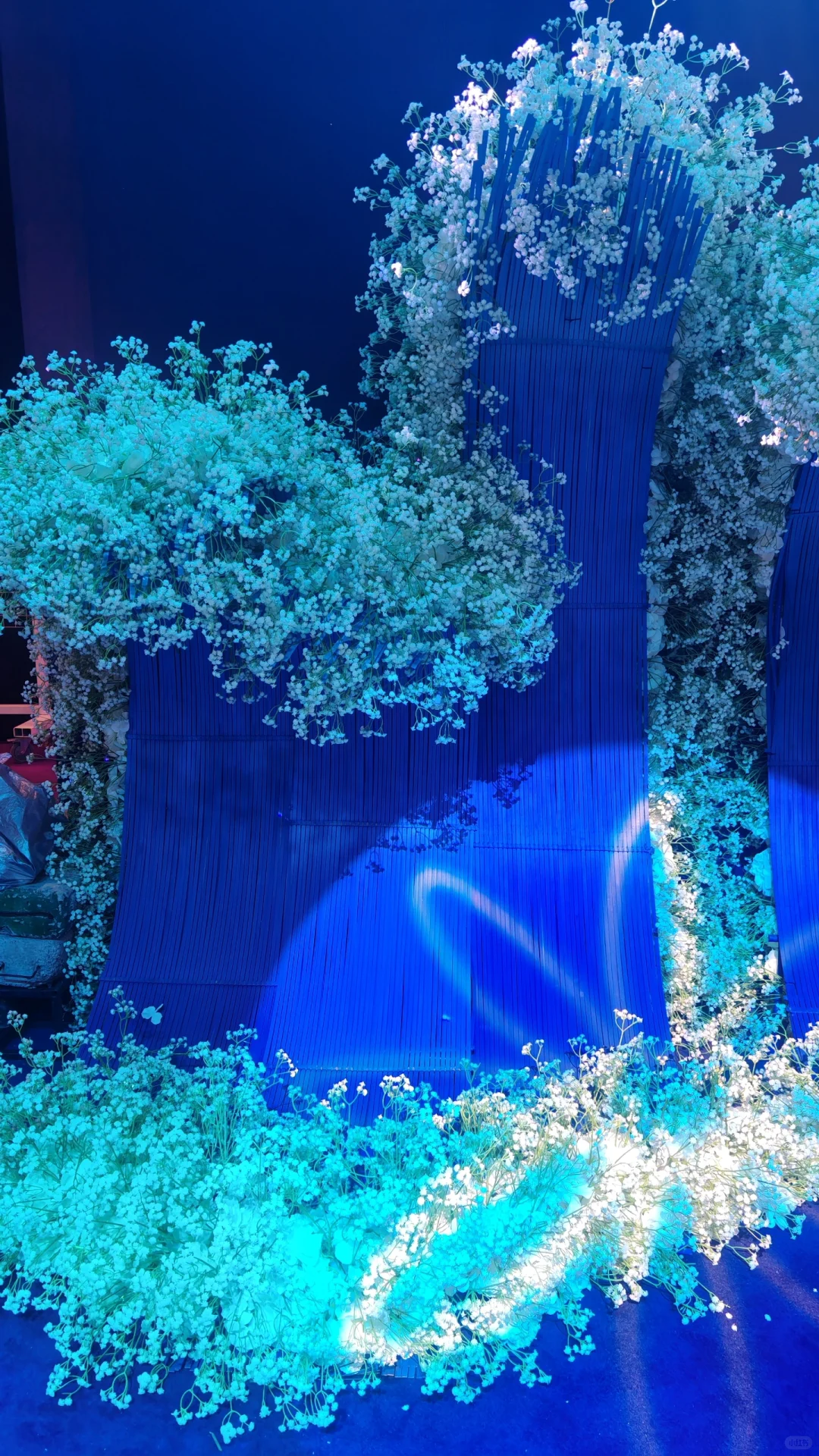 ²⁰²⁵ྀ怎么也飞不出花花的世界✿҉͜ ͜