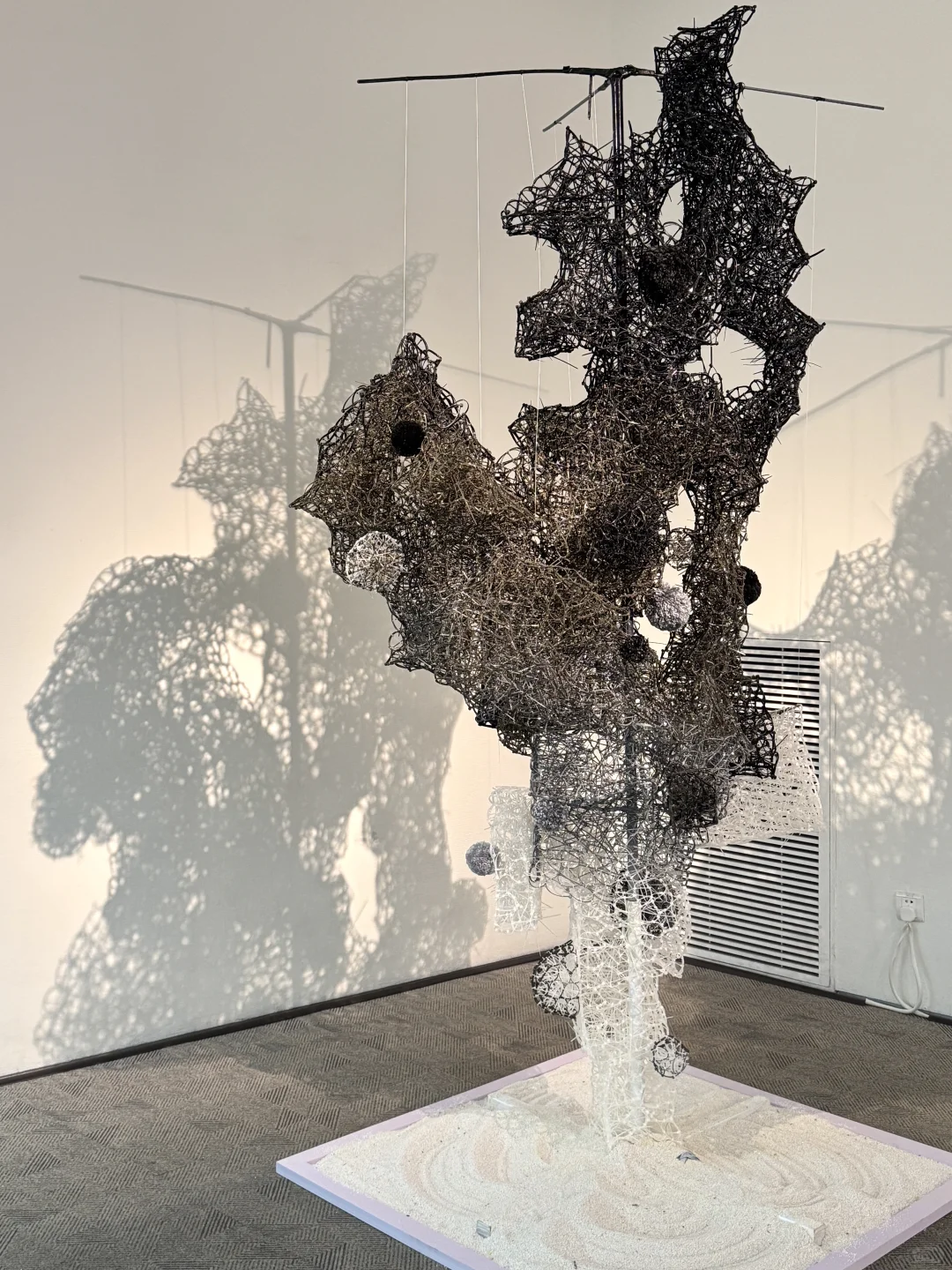 北京新展|新生·力