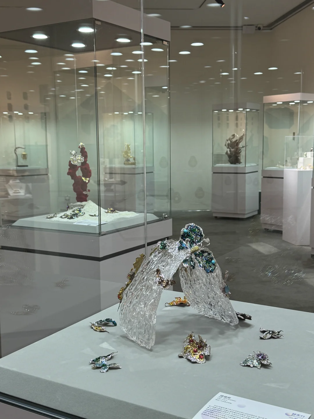 北京新展|新生·力