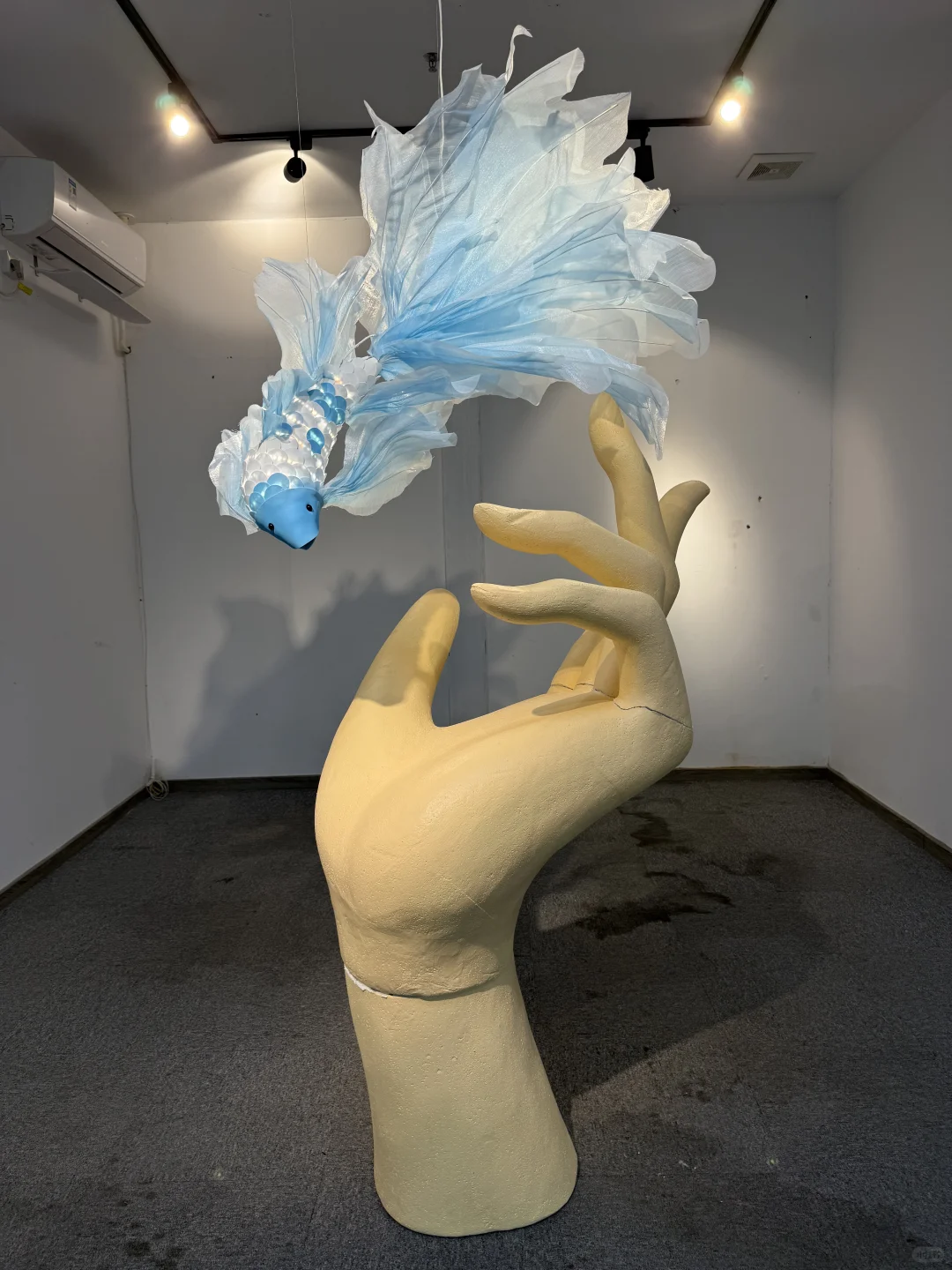 广州新展 | 去鱼里的世界???好梦幻！！！！！