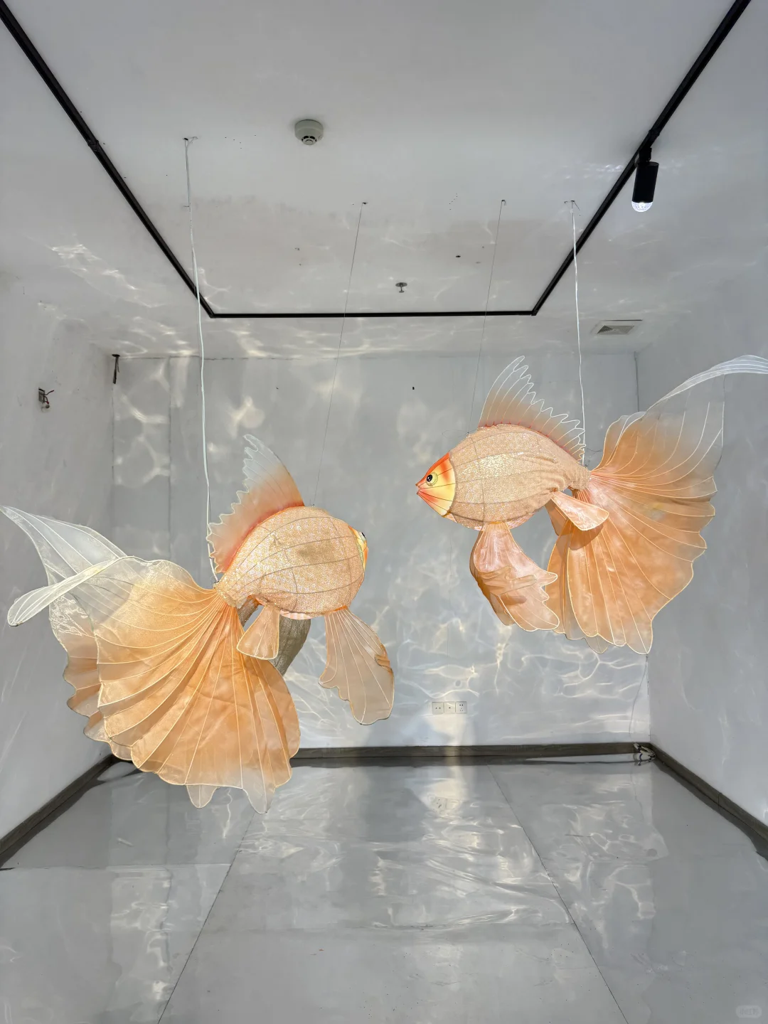 广州新展 | 去鱼里的世界???好梦幻！！！！！