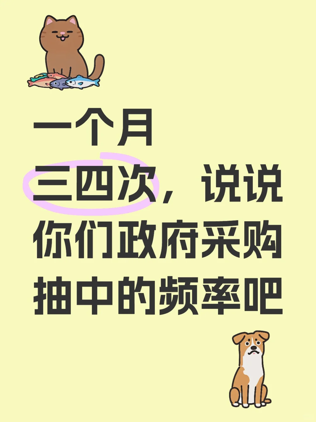 政府采购