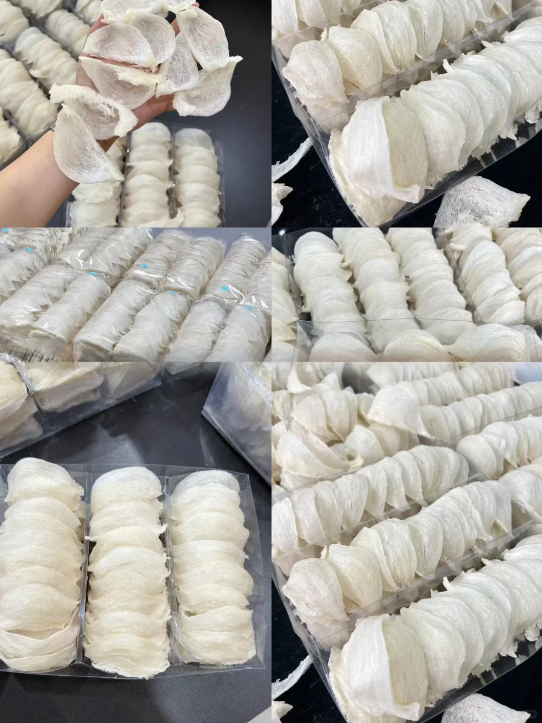 ?汕头人速看！健康博览会沉浸式逛展