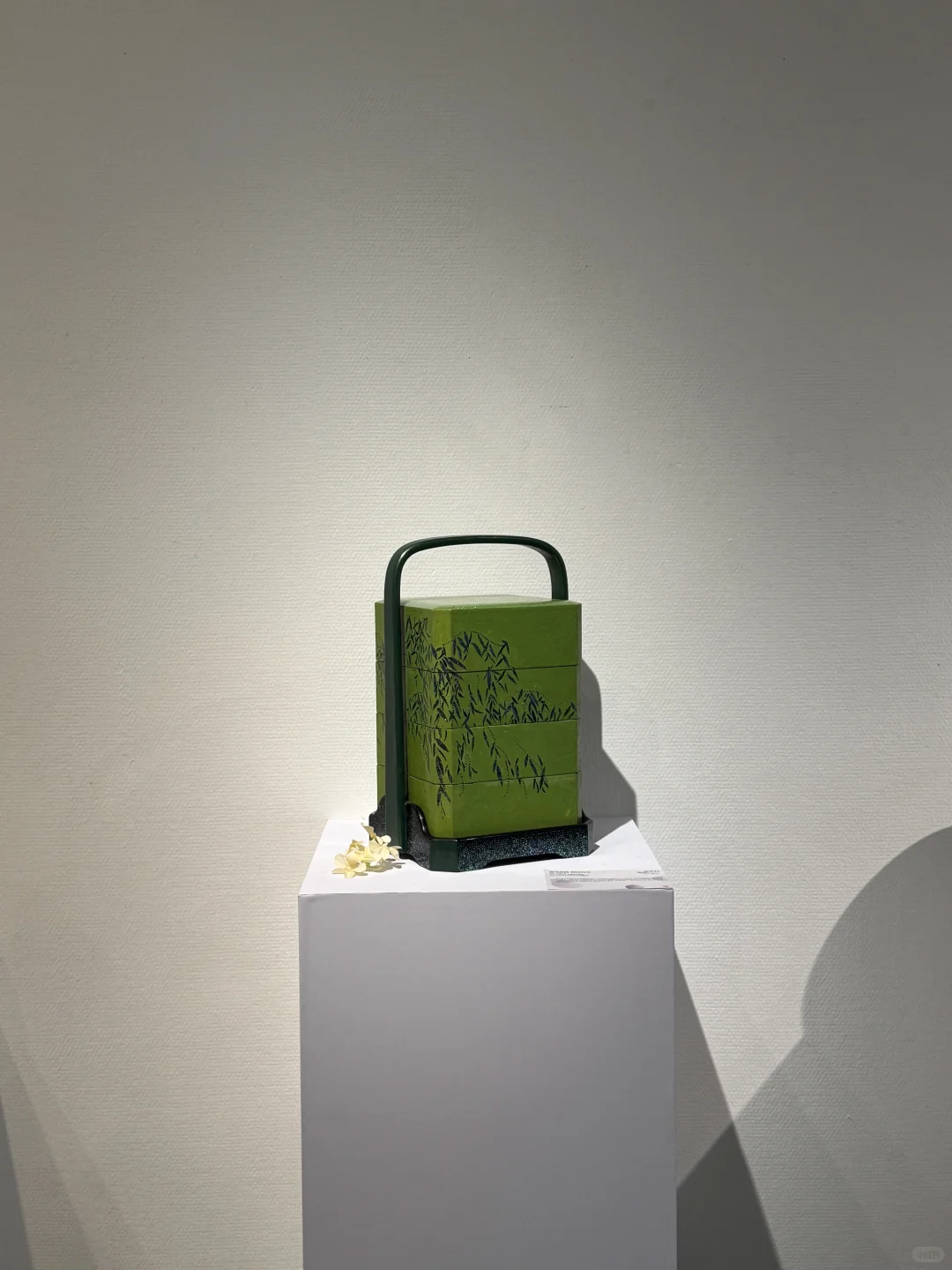 北京新展|新生·力