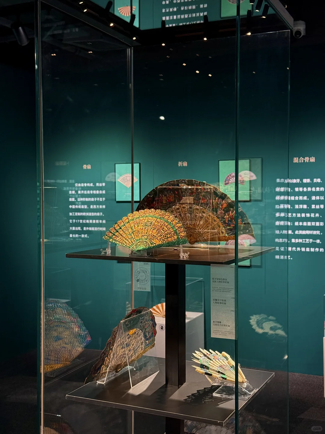 ?文华扇粉福利 | 2025 深圳必看展览