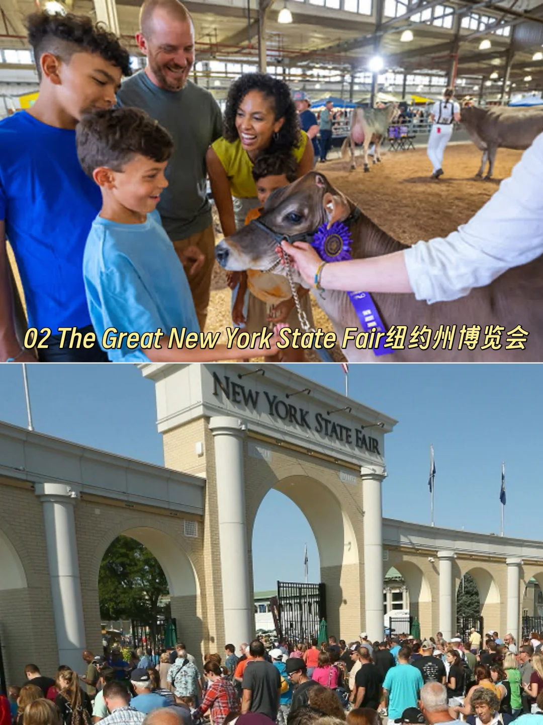 纽约8月好热闹!热气球、博览会、蘑菇之旅…