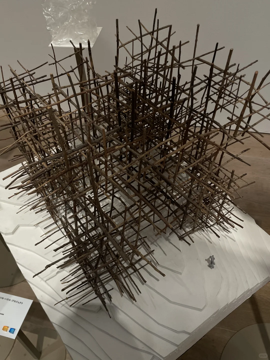 看了藤本壮介の建築展|原初・未来・森