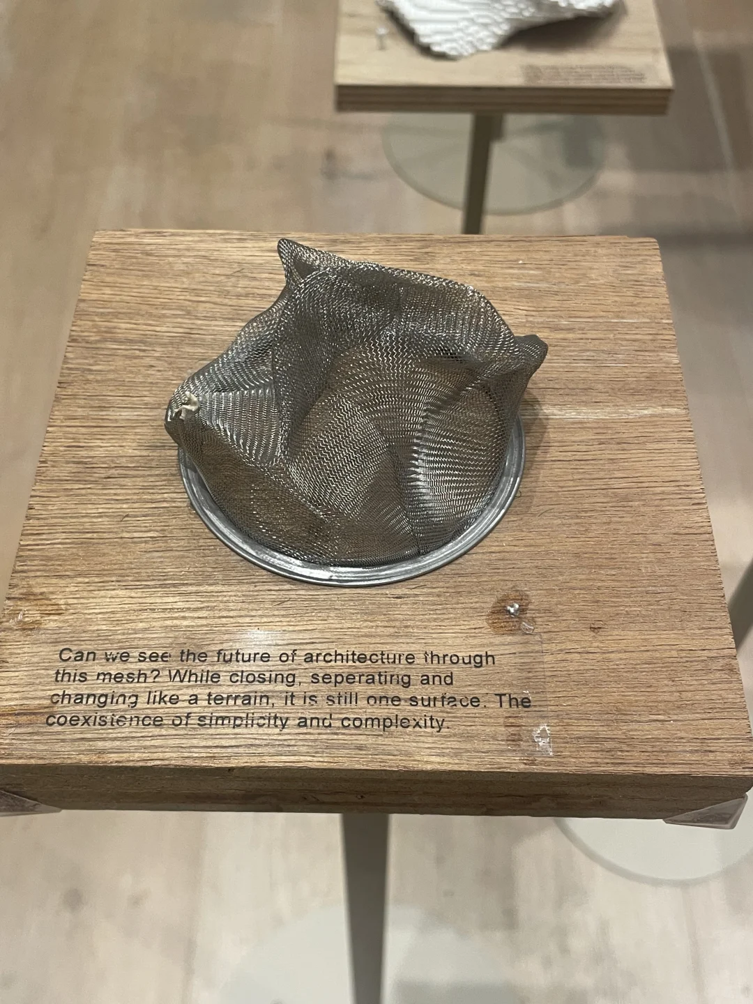 看了藤本壮介の建築展|原初・未来・森