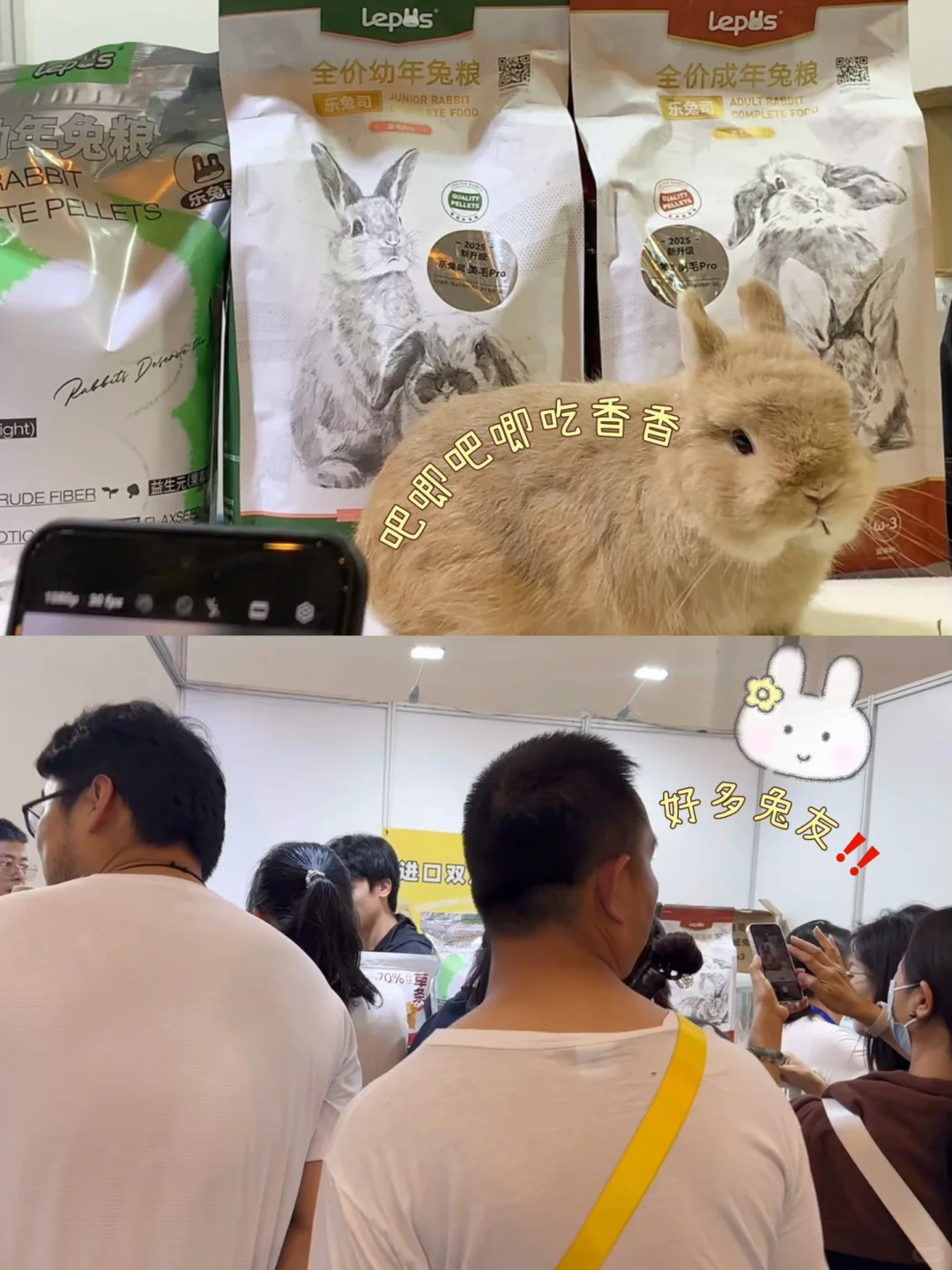 活动回顾|中国昆明东盟宠物博览会?