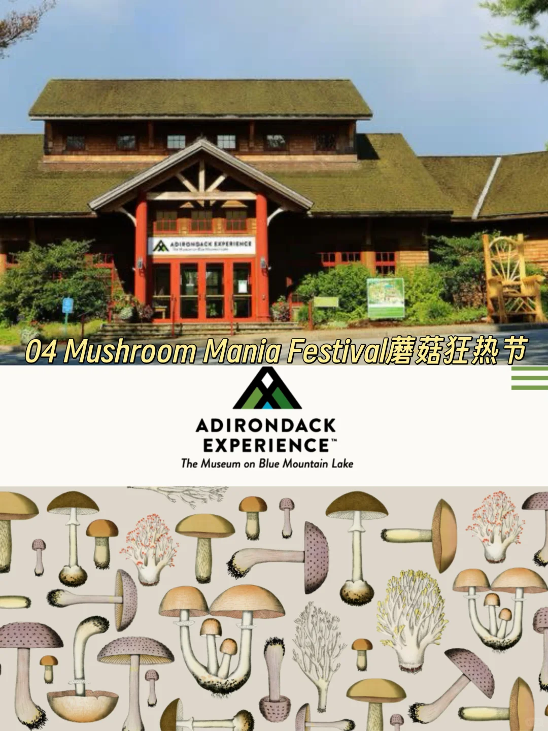 纽约8月好热闹!热气球、博览会、蘑菇之旅…
