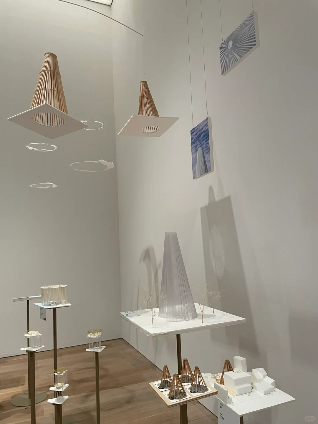 看了藤本壮介の建築展|原初・未来・森