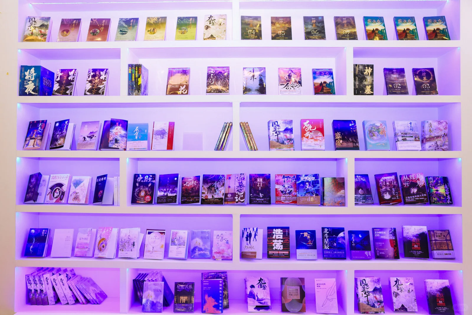 2025BIBF网络文学专题展!完美收官?