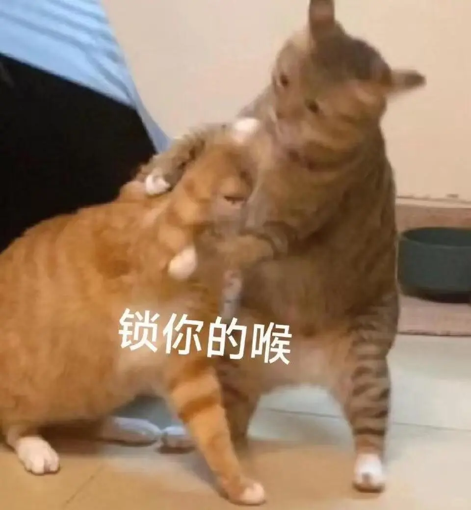 你能拿我怎么样