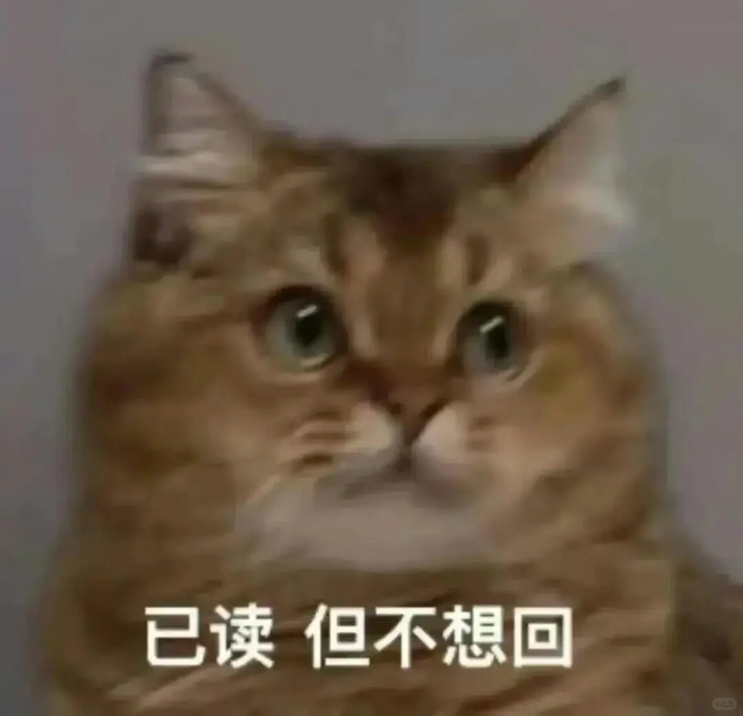 你能拿我怎么样