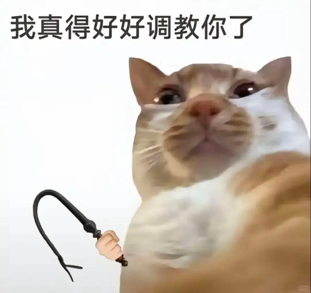 你能拿我怎么样