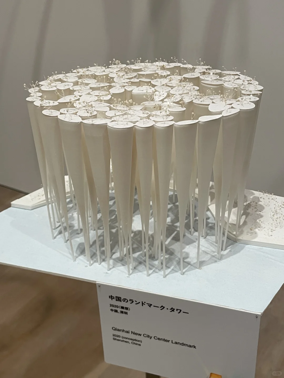 看了藤本壮介の建築展|原初・未来・森