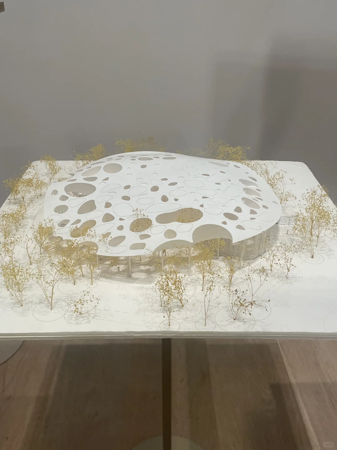 看了藤本壮介の建築展|原初・未来・森