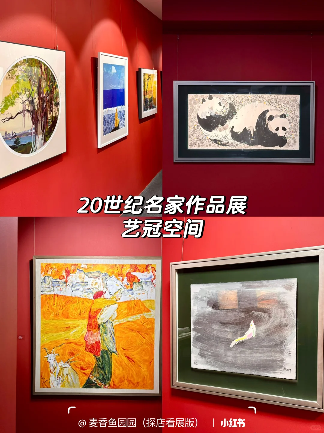 798八月免费展(合集)提前更啦?♀️附地图❗️