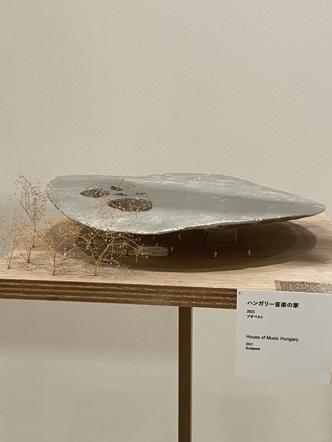 看了藤本壮介の建築展|原初・未来・森