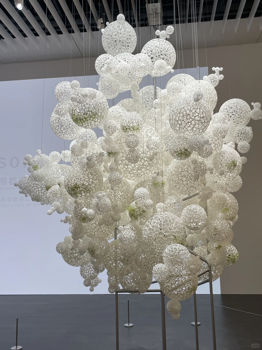 看了藤本壮介の建築展|原初・未来・森