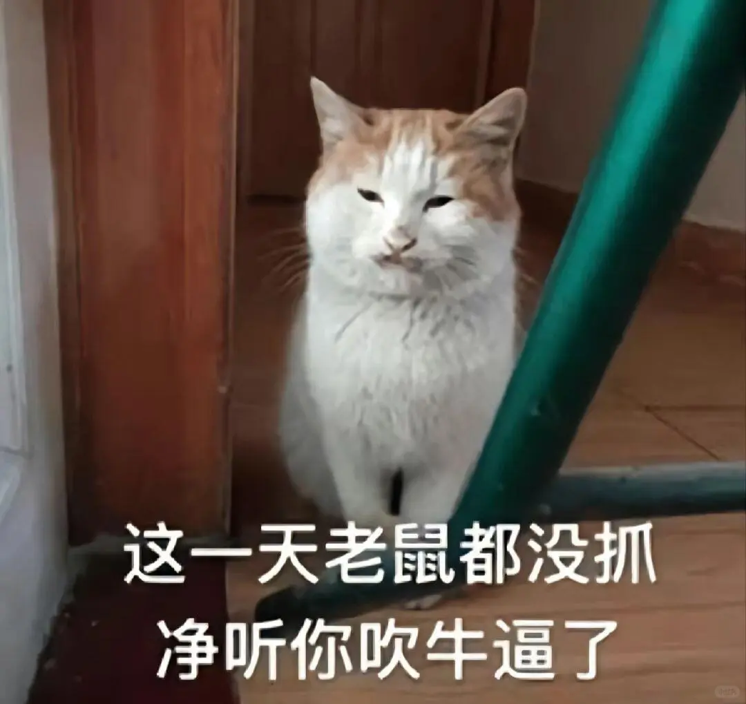 你能拿我怎么样