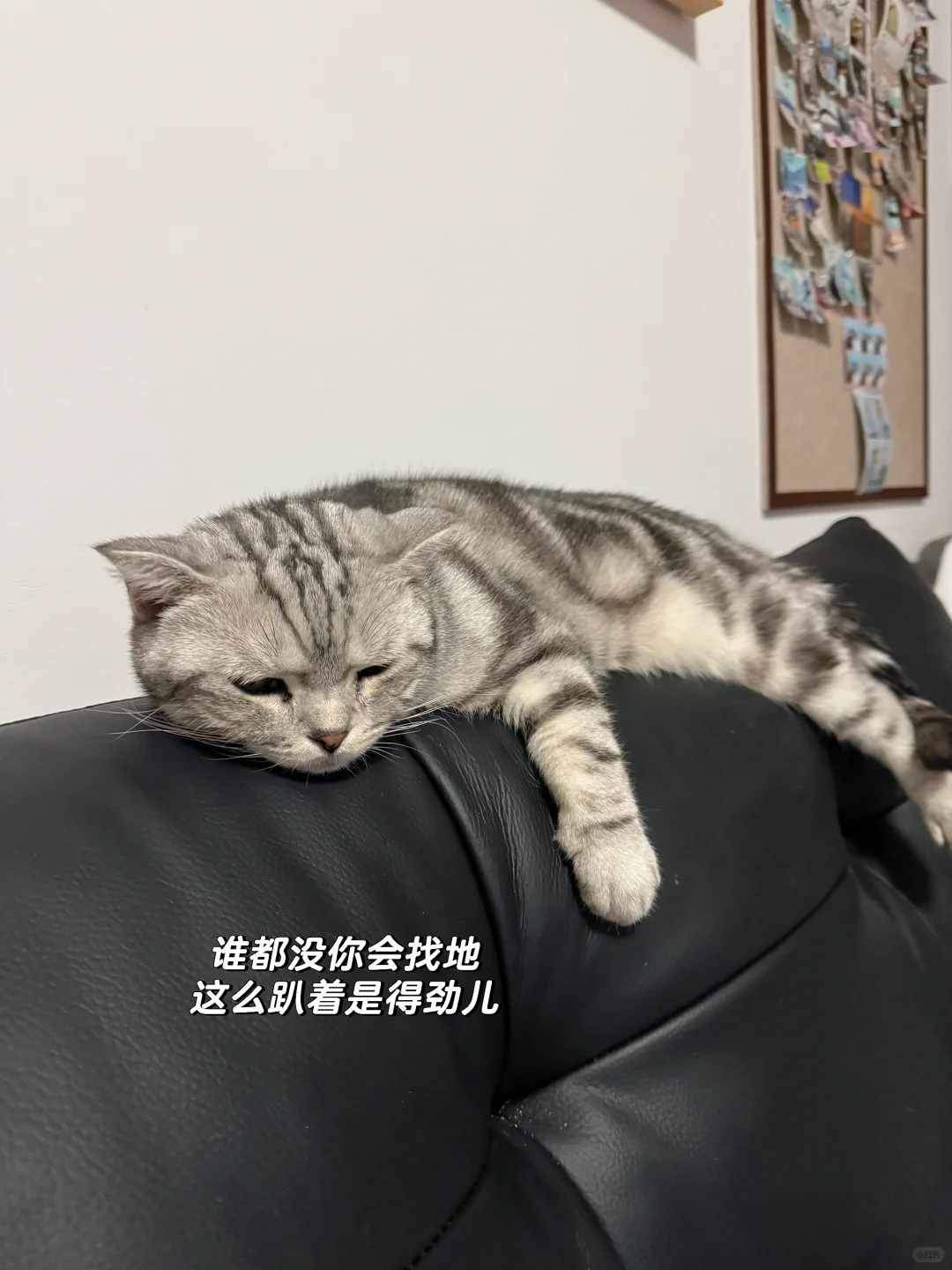 31岁而已,请善待自己