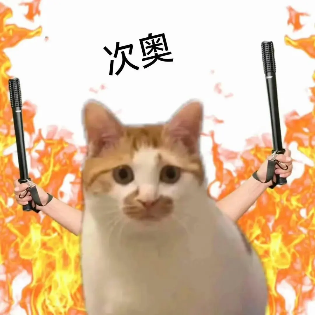 你能拿我怎么样