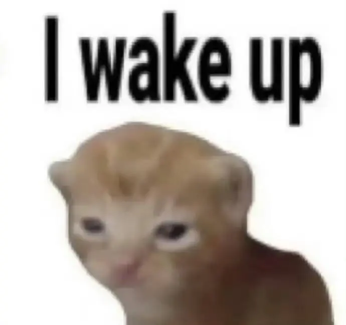 你能拿我怎么样