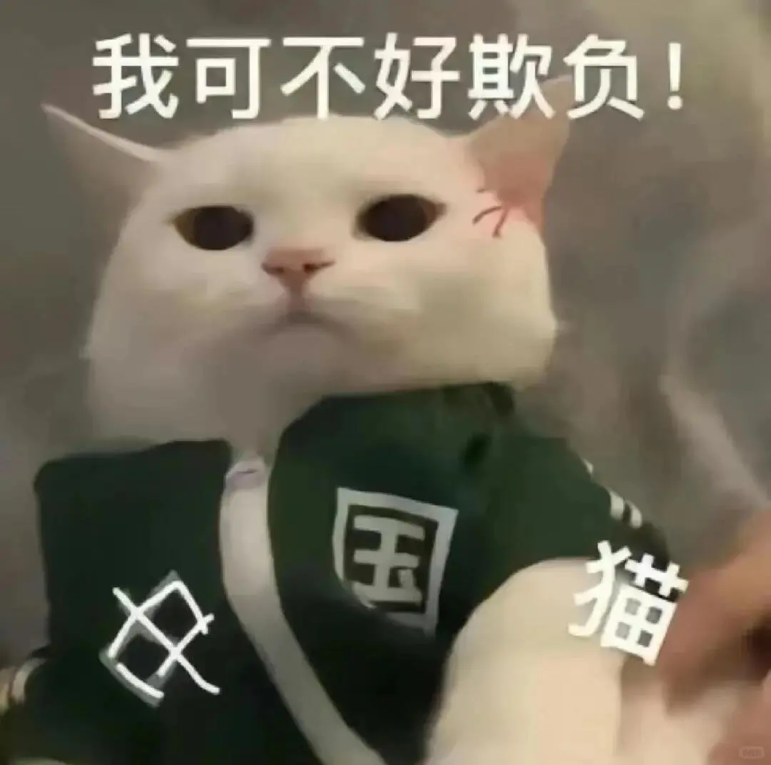 你能拿我怎么样
