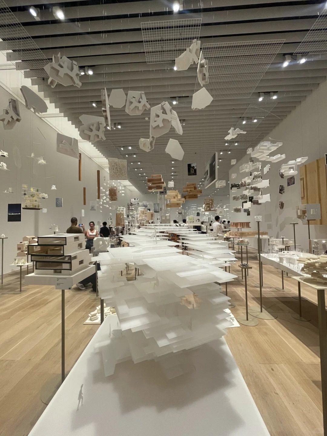 看了藤本壮介の建築展|原初・未来・森