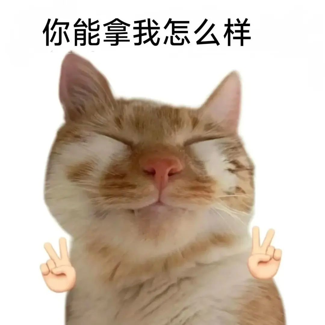 你能拿我怎么样