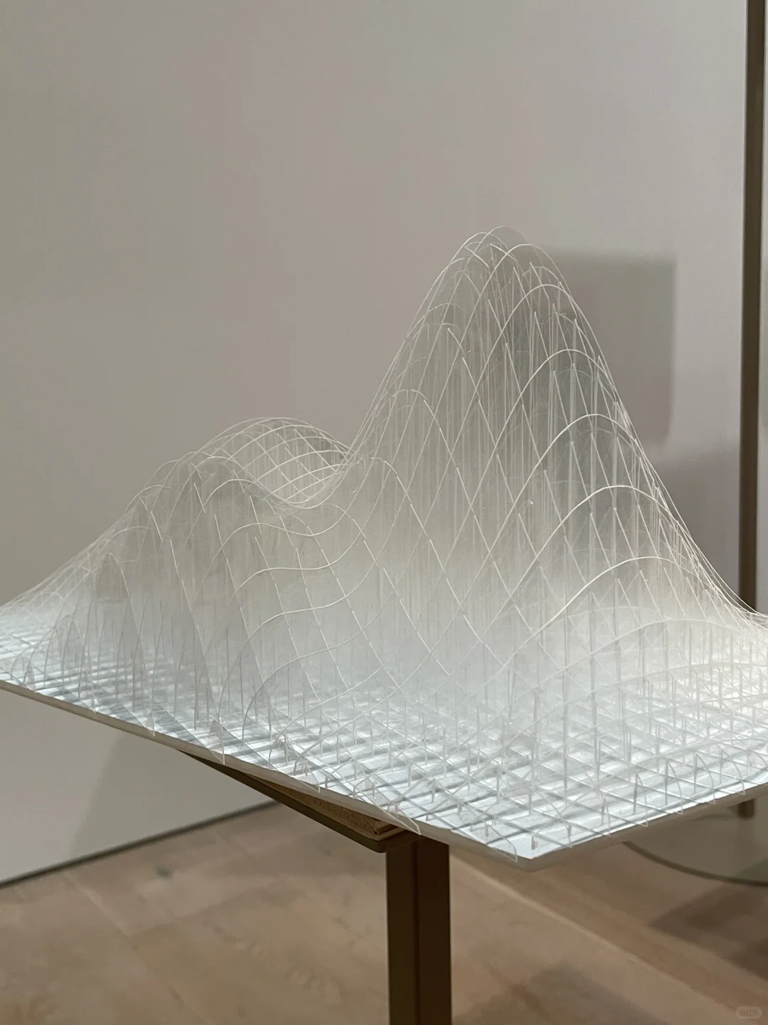 看了藤本壮介の建築展|原初・未来・森