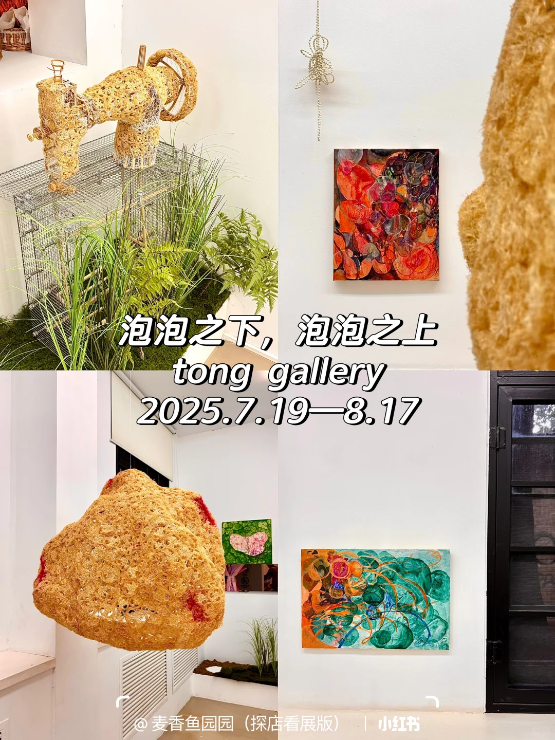 798八月免费展(合集)提前更啦?♀️附地图❗️