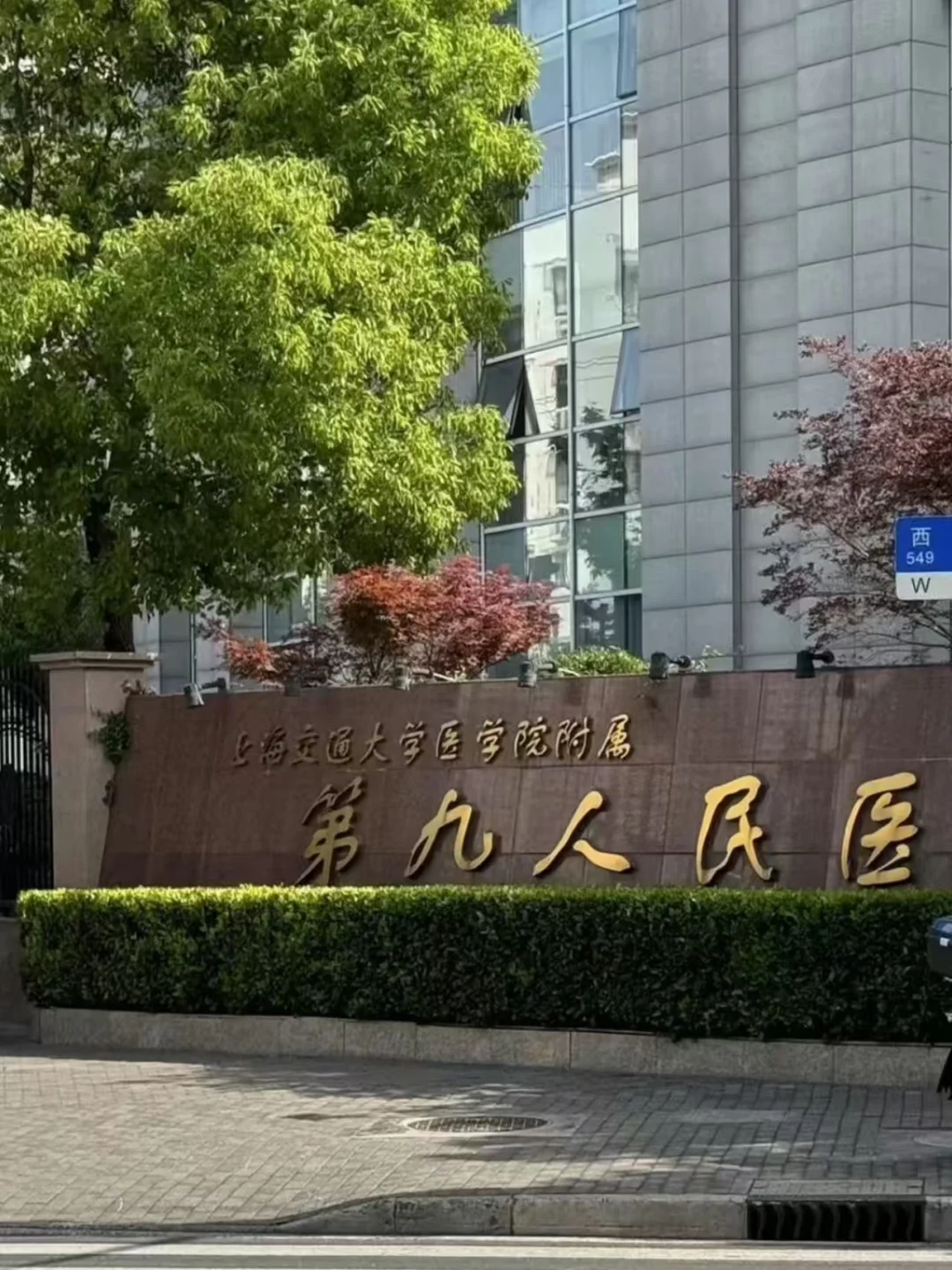 专门去看的胰岛素抵抗……