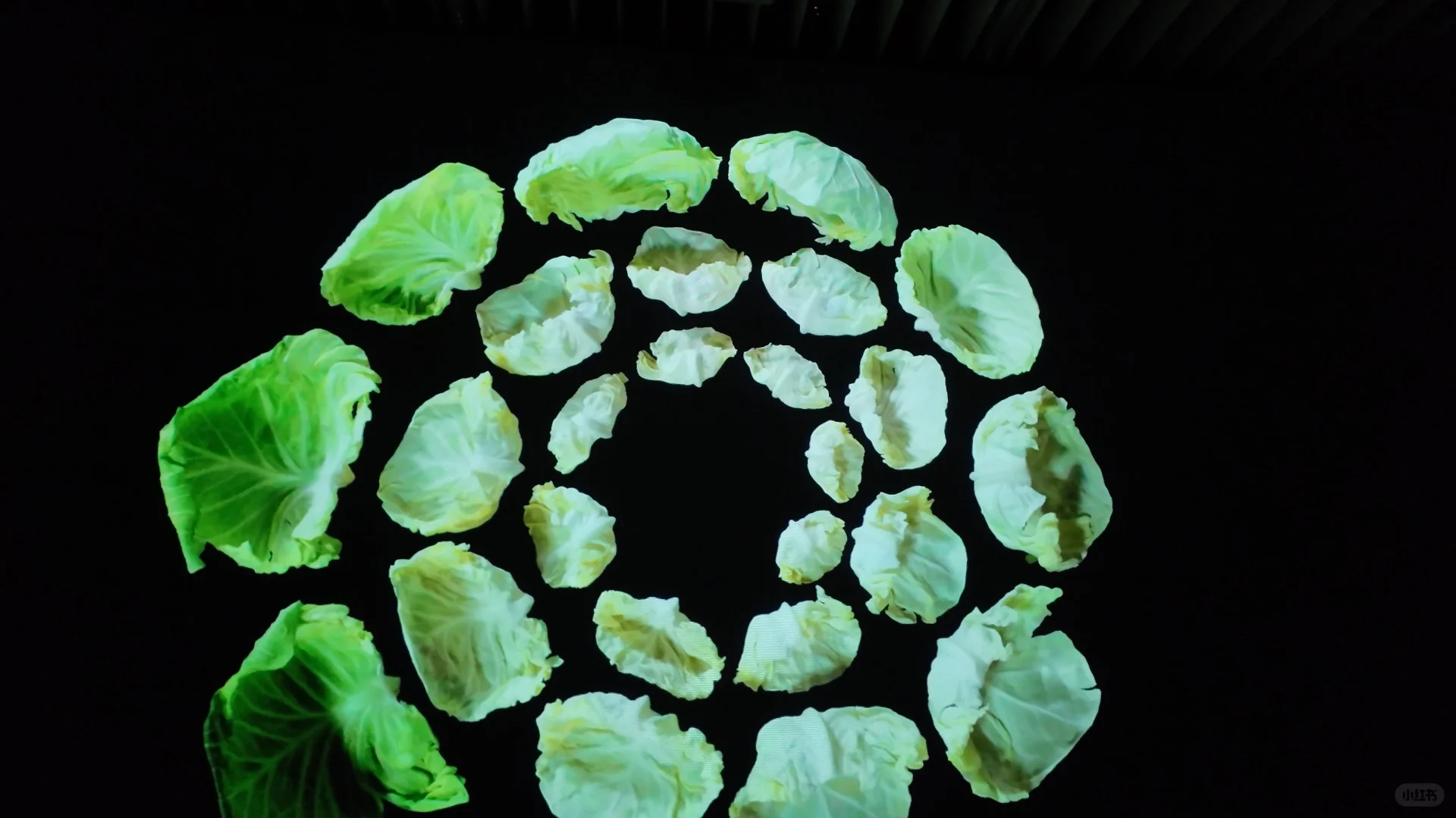 东京设计“あ”展|史上最解压展没有之一