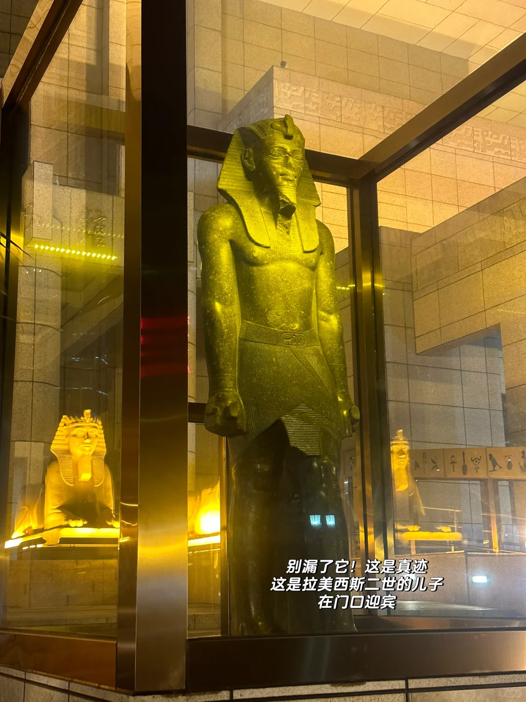 ?上海埃及展倒计时⏳最全攻略看这里