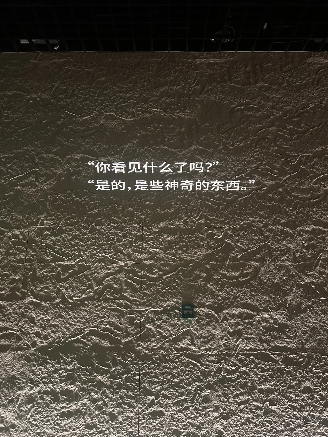 ?上海埃及展倒计时⏳最全攻略看这里