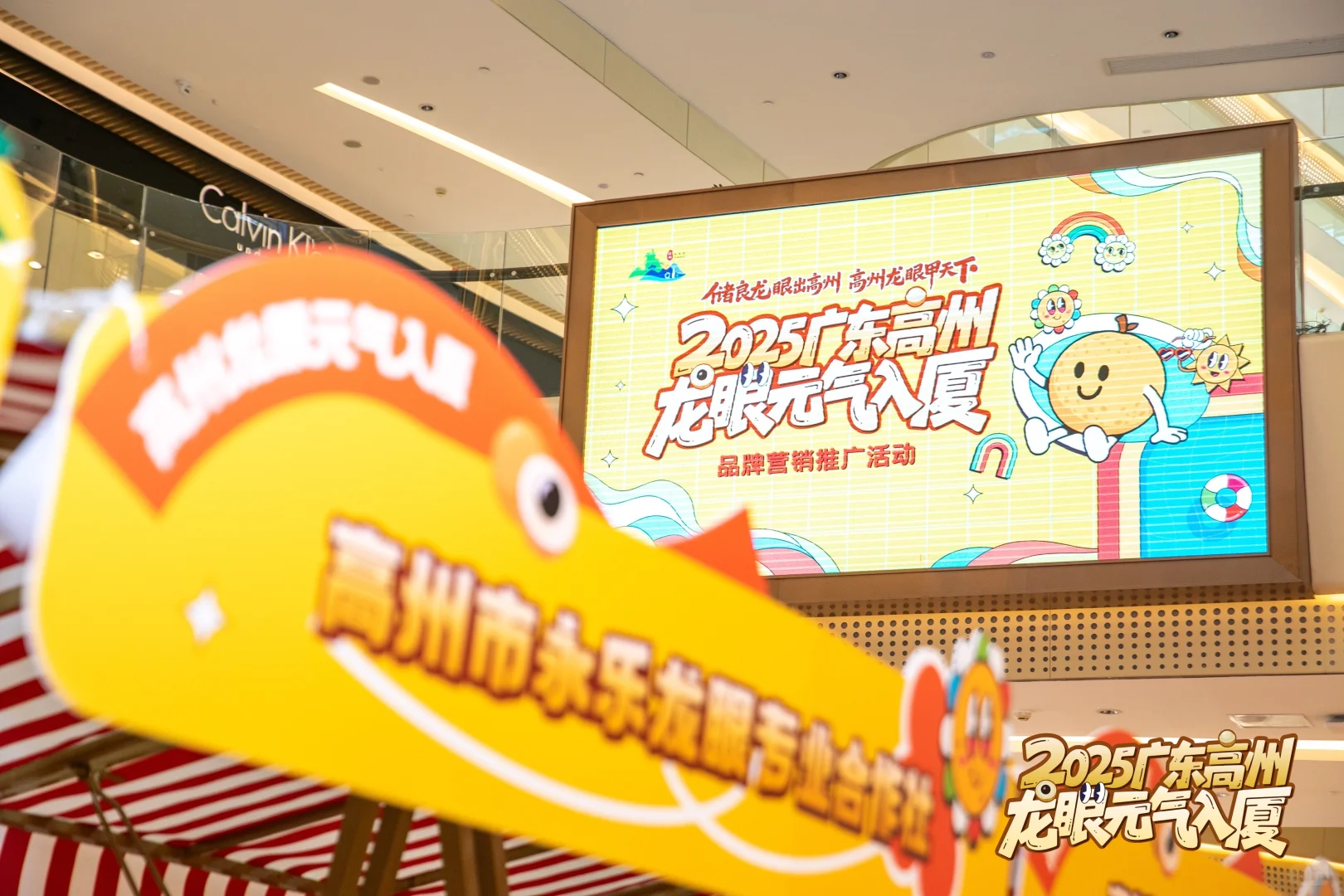 政府活动主持人!高州龙眼甲天下!
