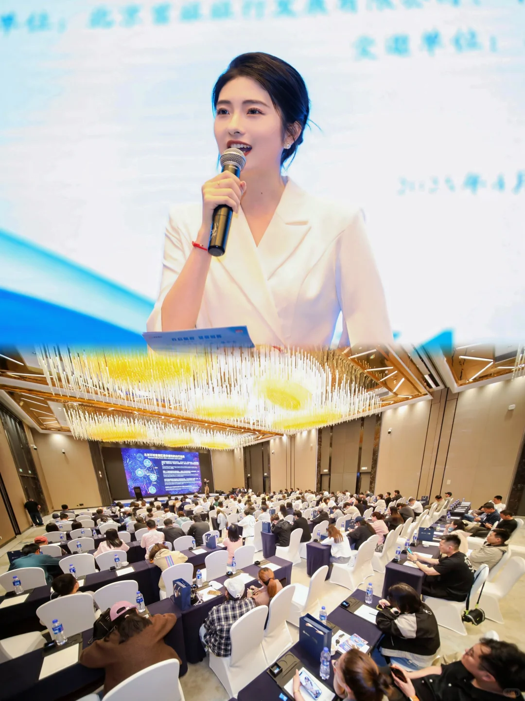 悄悄说，其实我才是这个推介会的目标受众