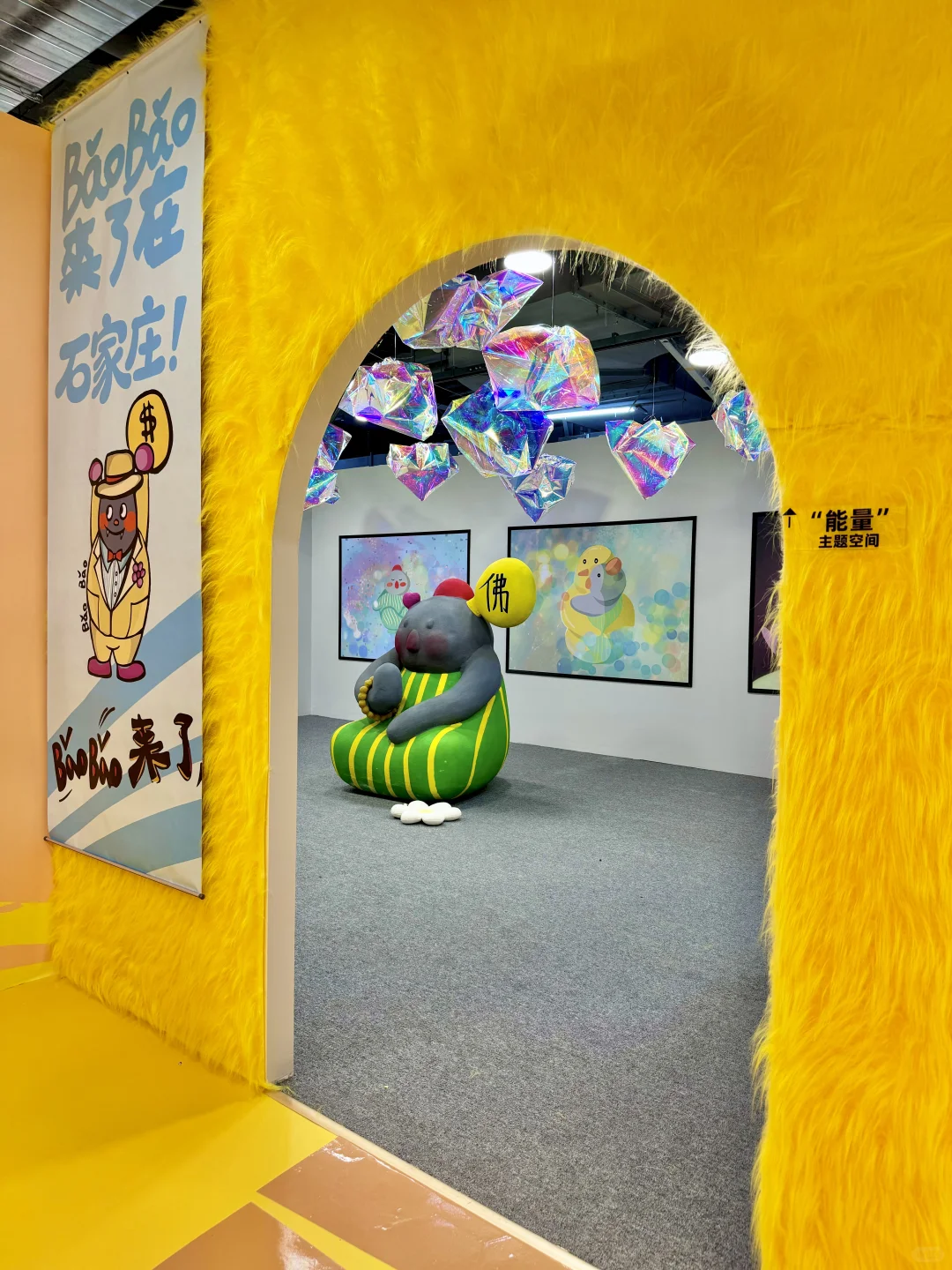 BǎoBǎo来啦！石家庄新展！?
