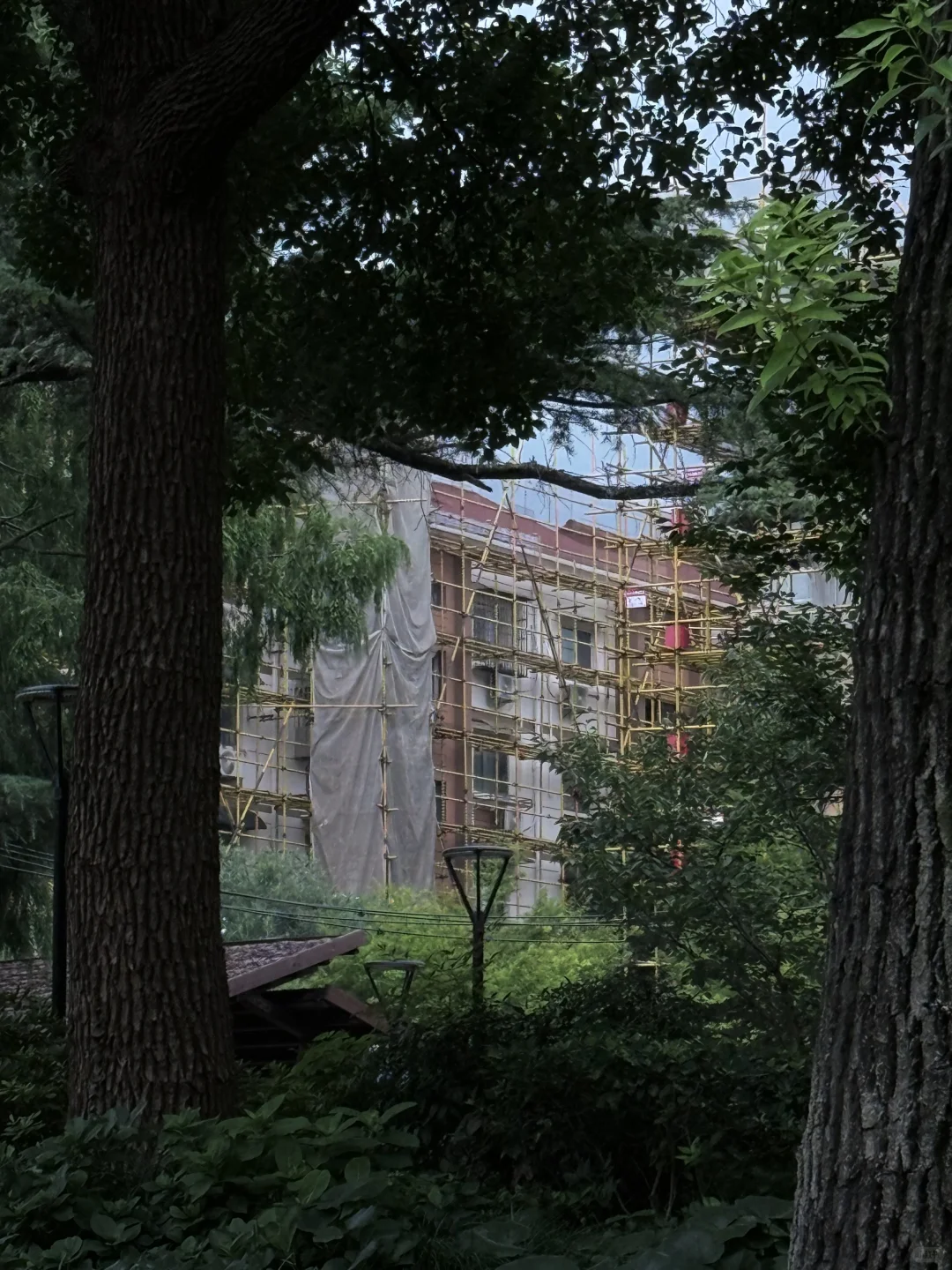 上海真是女性穿衣自由的大都市