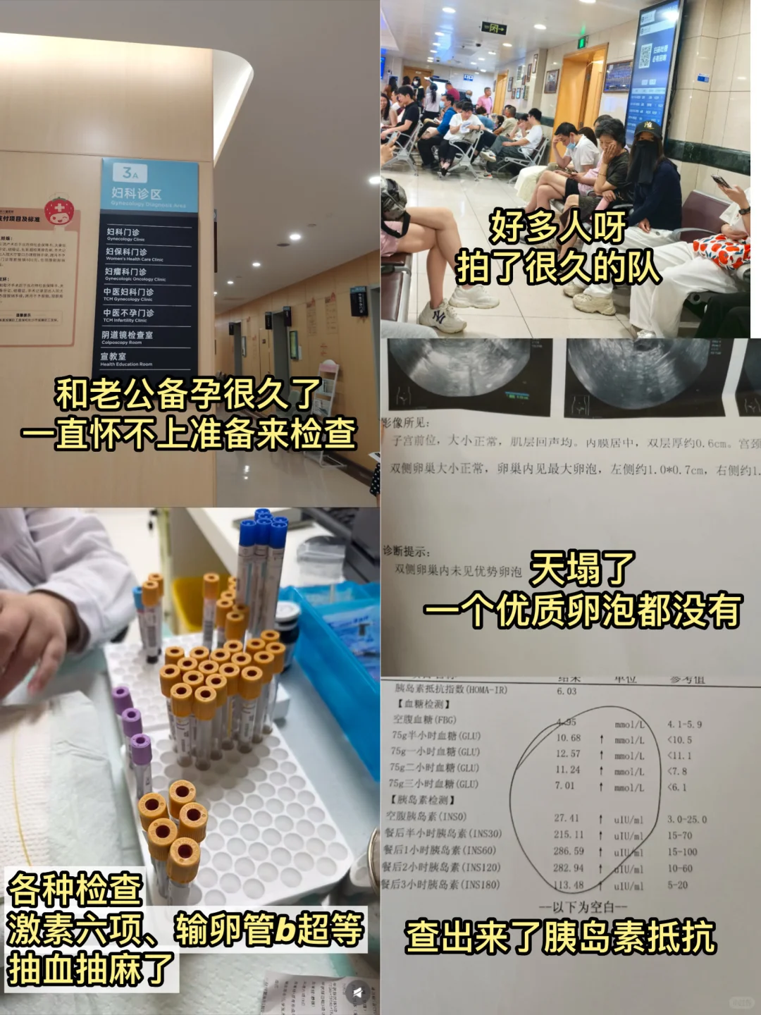 胰岛素抵抗|已怀上岸|如何高效备孕,看这篇!