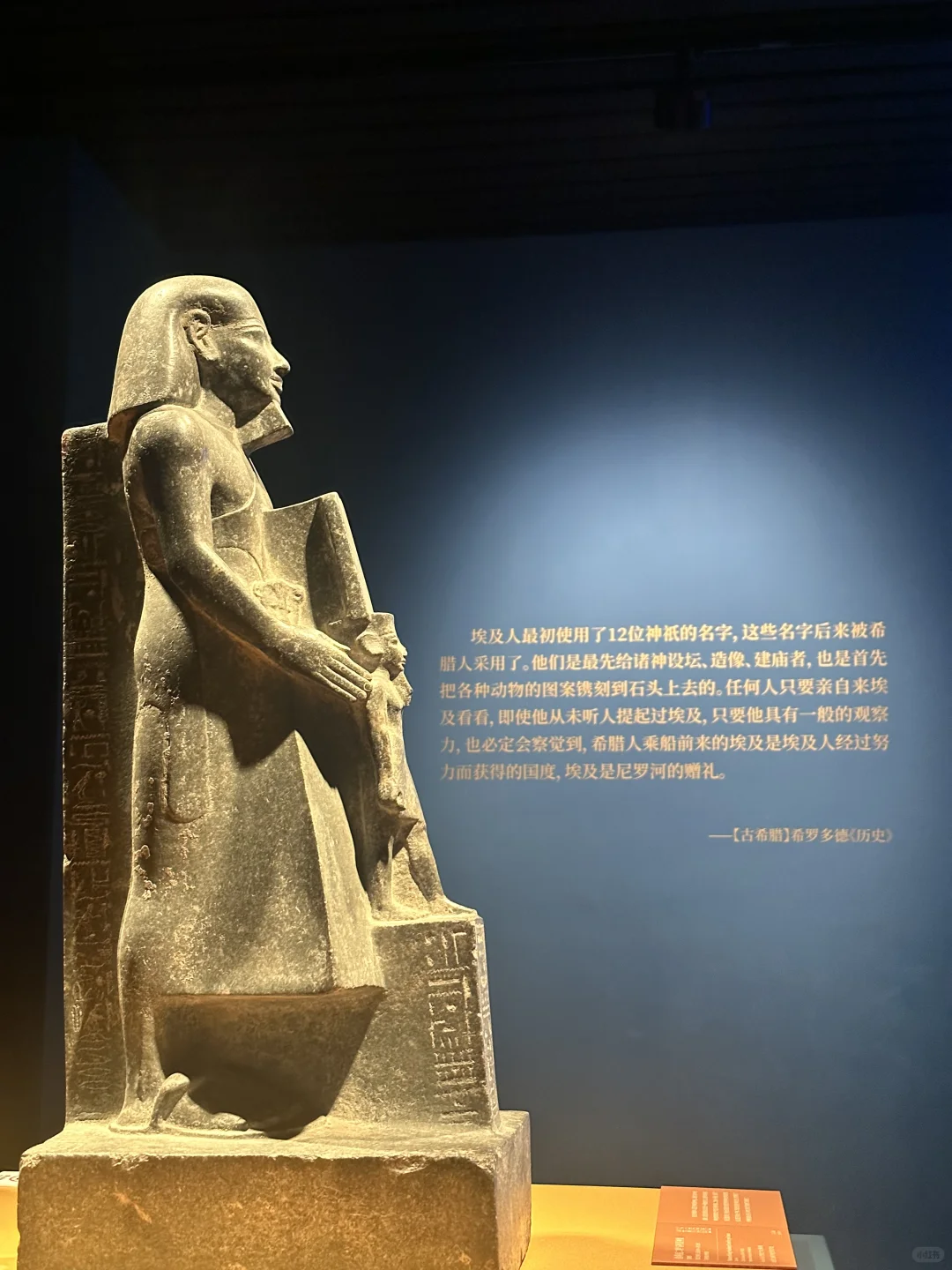 ?上海埃及展倒计时⏳最全攻略看这里