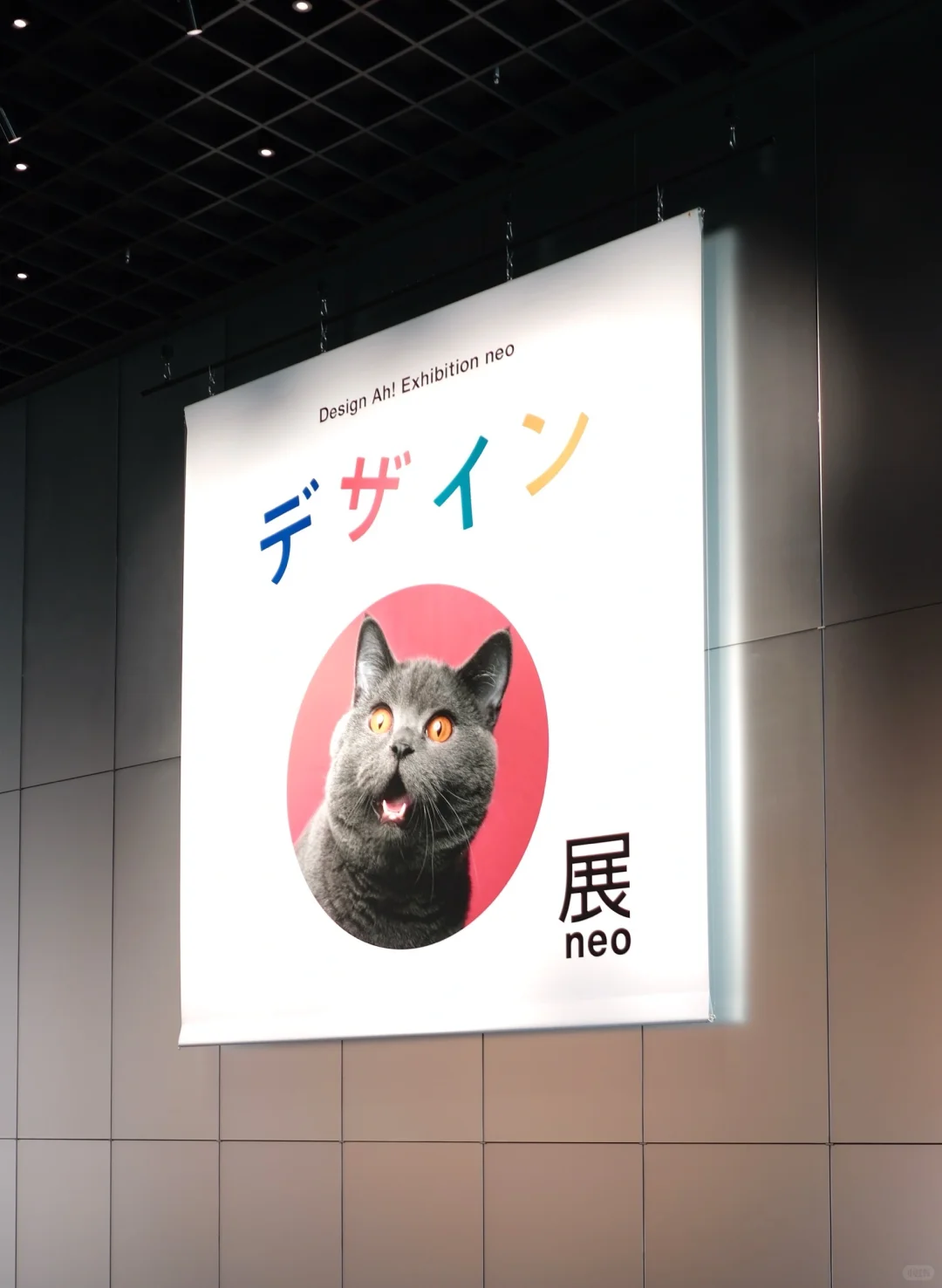 东京设计“あ”展|史上最解压展没有之一