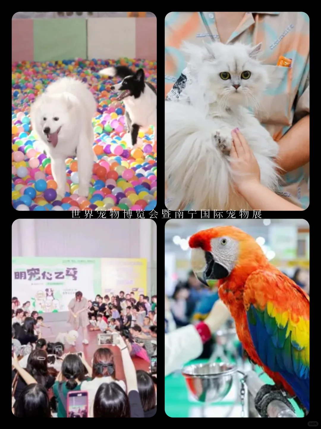 南 宁 | 8月 看 展 指 南