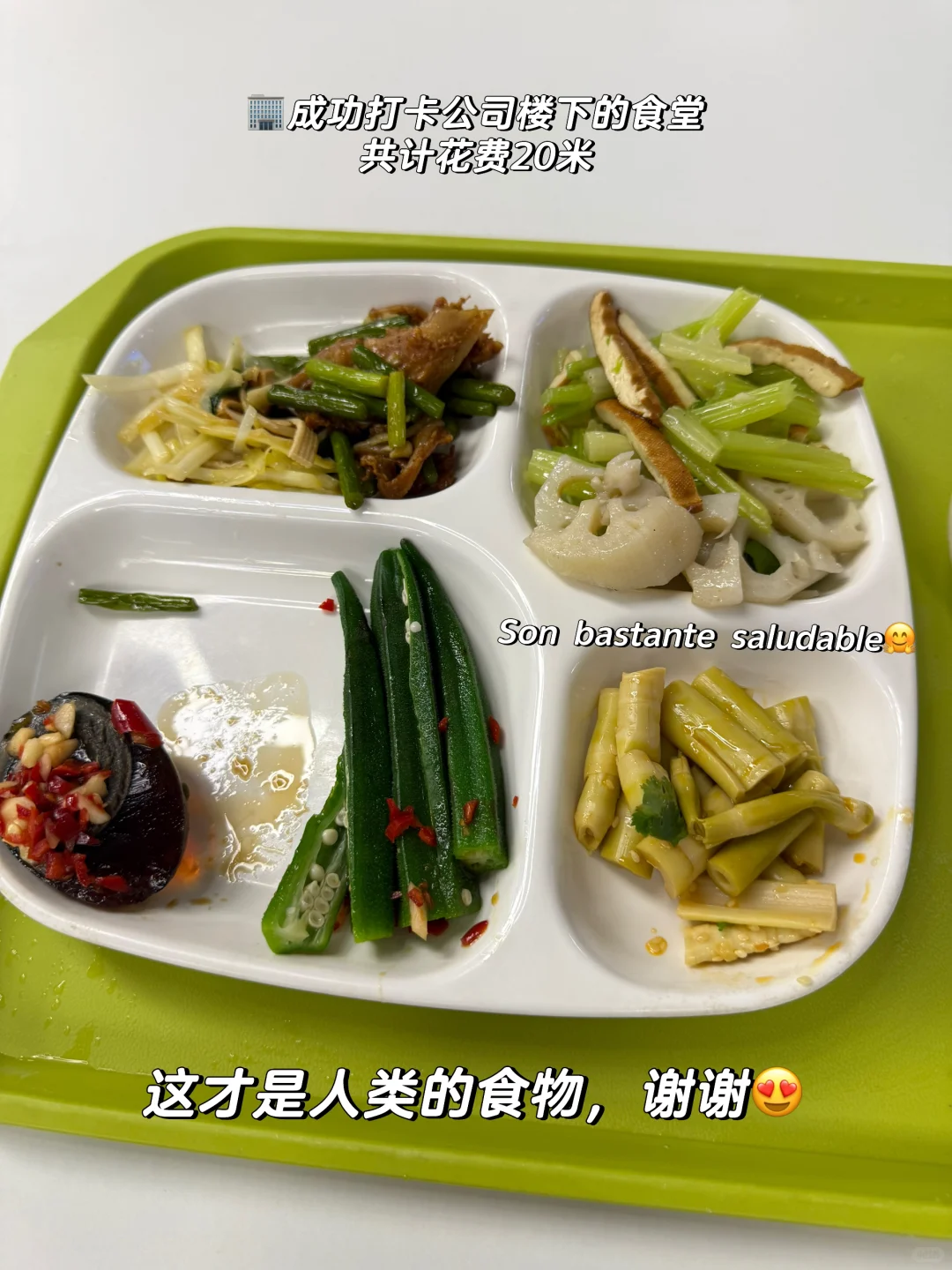 外贸|干贸易公司业务员一个月啦!